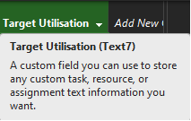 Example of custom label 'Target Utilisation' assigned to custom field 'Text7'